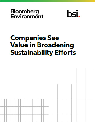 Sustainability Efforts Whitepaper Cover